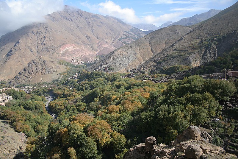 Image Description
